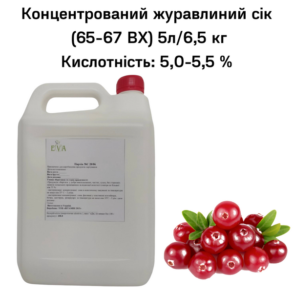 Концентрований журавлинний сік (65-67 ВХ) каністра 5л/6,5 кг 0100028 фото