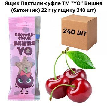 Ящик Пастили-суфле ТМ "YO" Вишня (батончик) 22 г (у ящику 240 шт) 07-0006 фото