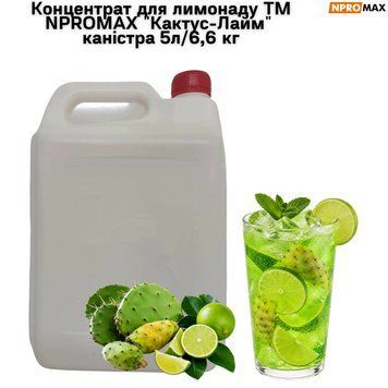 Концентрат для лимонада ТМ NPROMAX "Кактус-Лайм" канистра 5л/6,6 кг 89-0183 фото