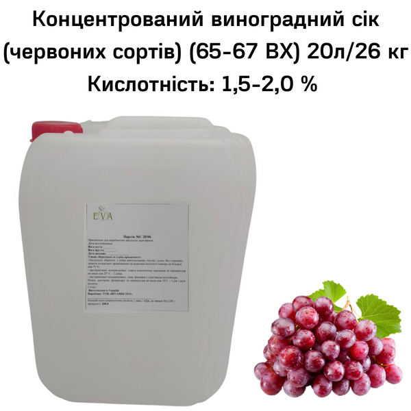 Концентрированный виноградный сок (красных сортов) (65-67 ВХ) канистра 20л/26 кг 0100020 фото