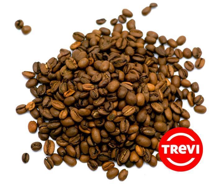 Кофе в зернах Trevi Арабика Эфиопия Сидамо , 1кг 03-0033 фото