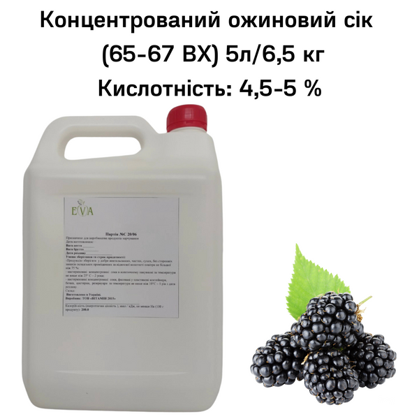 Концентрований ожиновий сік (65-67 ВХ) каністра 5л/6,5 кг 0100029 фото