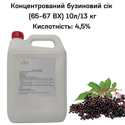 Концентрований бузиновий сік (65-67 ВХ) каністра 10л/13 кілограмів 0100023 фото