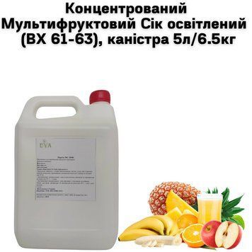 Концентрований Мультифруктовий Сік освітлений (ВХ 61-63), каністра 5л/6.5кг 01-0124 фото