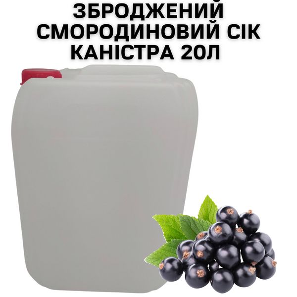 Сброженный смородиновый сок канистра 20л 0100070 фото