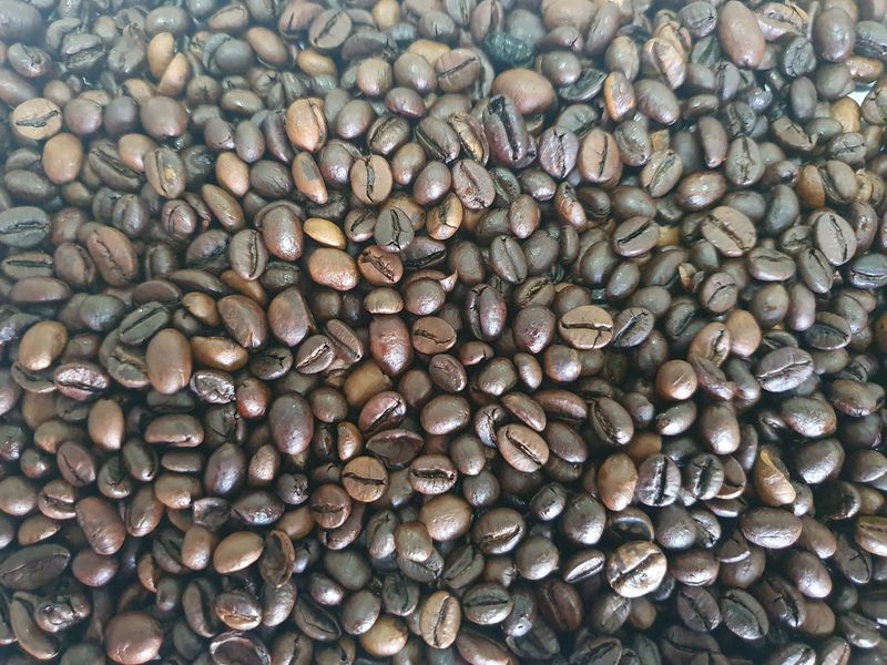 Ящик кави в зернах Garibaldi Versilia 1 кг (у ящику 10шт) 1200005 фото