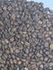 Кофе в зернах Fresh Organic Coffee ETHIOPIA (Эфиопия) 500 г 63-0008 фото 5