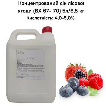 Концентрований сік лісової ягоди (65-67 ВХ) каністра 5л/6,5 кг 01-0087 фото
