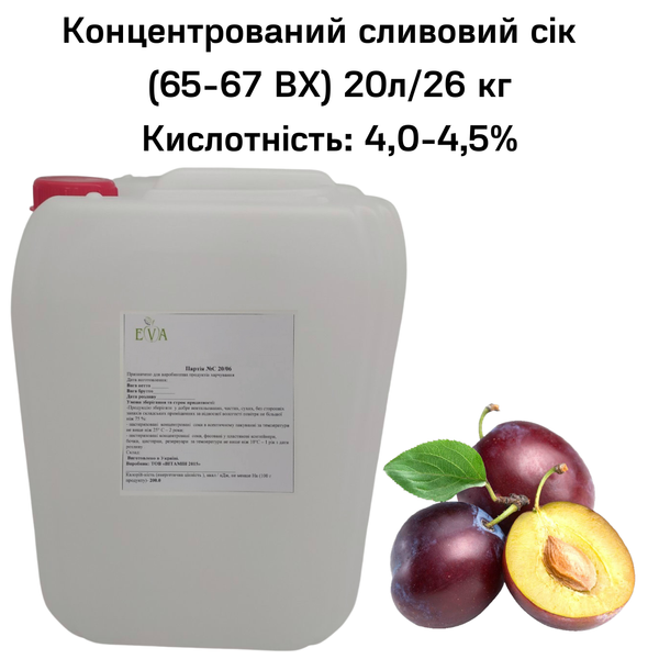 Концентрований сок сливовий (65-67 ВХ) каністра 20л/26 кг 0100025 фото