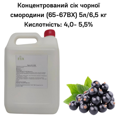 Концентрированный сок черной смородины (65-67ВХ) канистра 5л/6,5 кг 0100014 фото