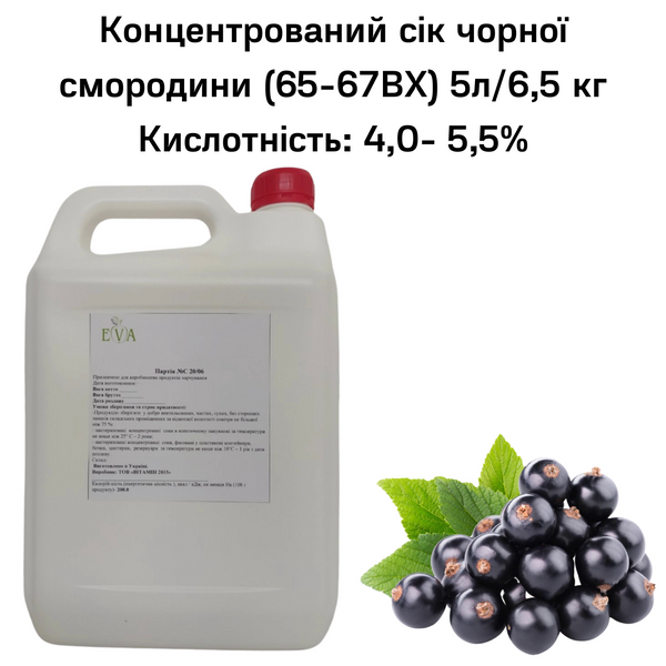 Концентрований сік смородини чорної (65-67ВХ) каністра 5л/6,5 кг 0100014 фото