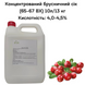 Концентрований брусничний сік (65-67 ВХ) каністра 10л/13 кг 0100026 фото 1