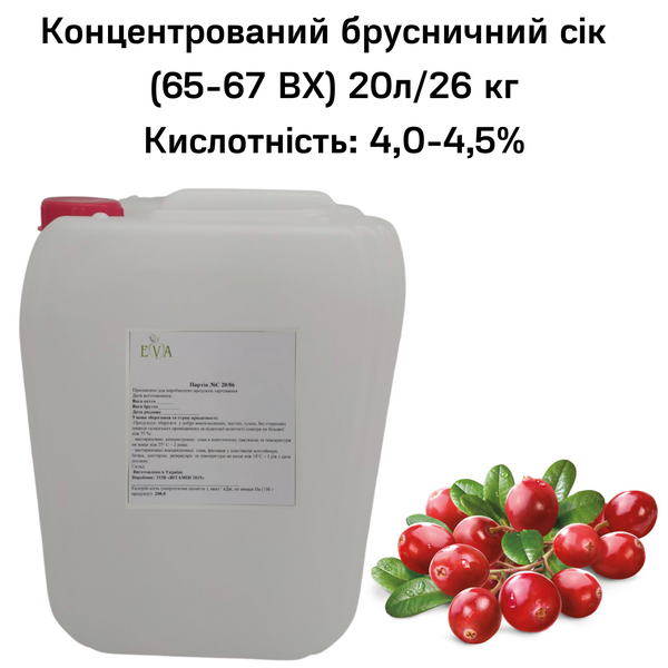 Концентрований брусничний сік (65-67 ВХ) каністра 20л/26 кг 0100026 фото