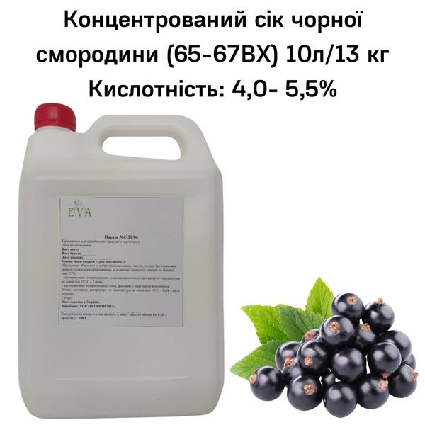 Концентрированный сок черной смородины (65-67ВХ) канистра 10л/13 кг 0100014 фото