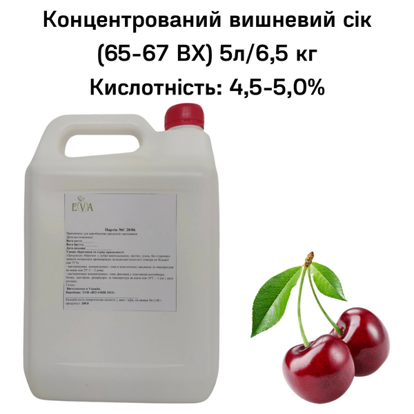 Концентрований вишневий сік (65-67 ВХ) каністра 5л/6,5 кг 0100016 фото