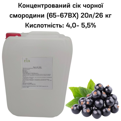 Концентрированный сок черной смородины (65-67ВХ) канистра 20л/26 кг 0100014 фото