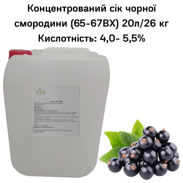 Концентрований сік чорної смородини (65-67ВХ) каністра 20л/26 кг 0100014 фото