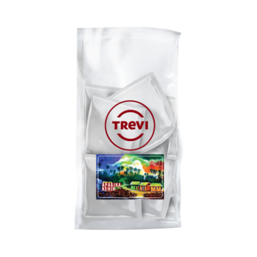 Упаковка кави в пірамідках Trevi Кенія 10 г - 20 шт 0300107 фото