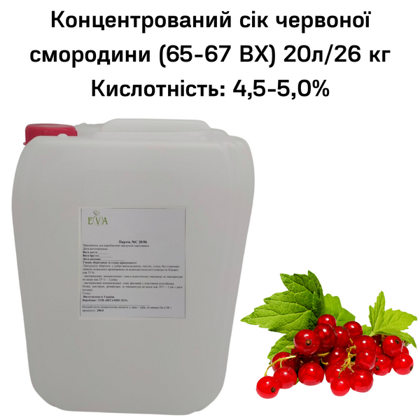 Концентрований сік червоної смородини (65-67 ВХ) каністра 20л/26 кг 0100027 фото