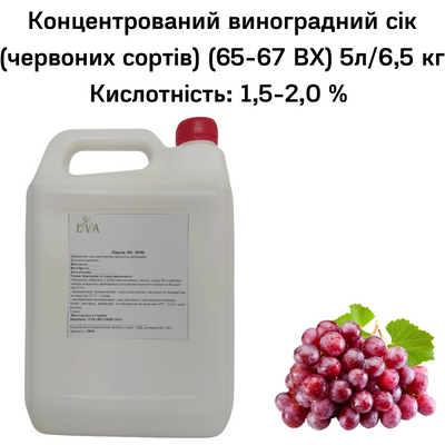 Концентрований виноградний сік (червоних сортів) (65-67 ВХ) каністра 5л/6,5 кг 0100020 фото