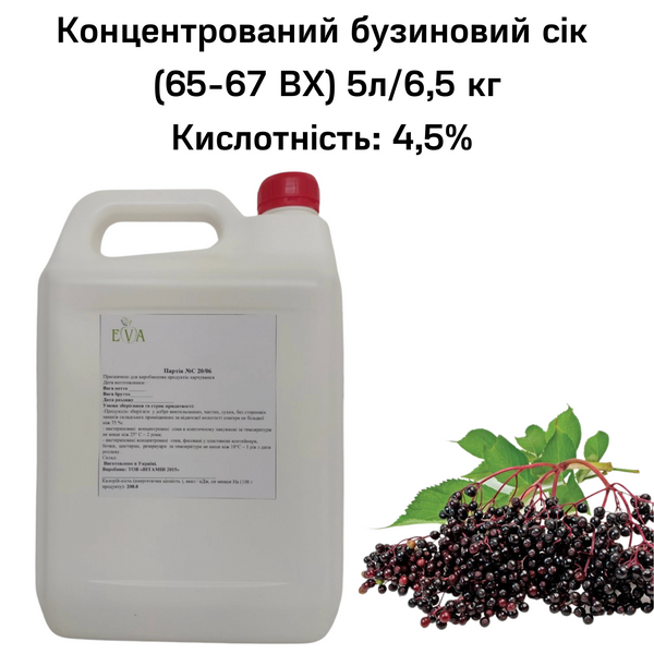 Концентрований бузиновий сік (65-67 ВХ) каністра 5л/6,5 кг 0100023 фото