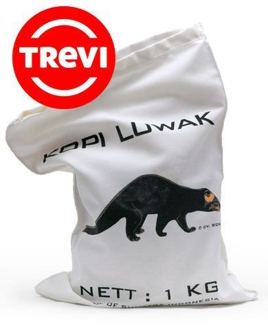 Экзотический Кофе в зернах Trevi Арабика Kopi Luwak 100 г 03-0116 фото