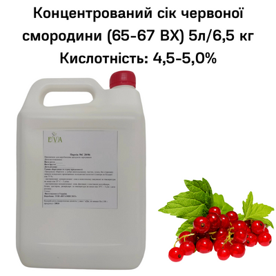 Концентрированный сок красной смородины (65-67 ВХ) канистра 5л/6,5 кг 0100027 фото