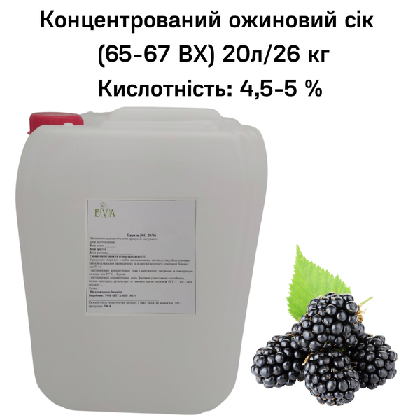 Концентрований ожиновий сік (65-67 ВХ) каністра 20л/26 кг 0100029 фото