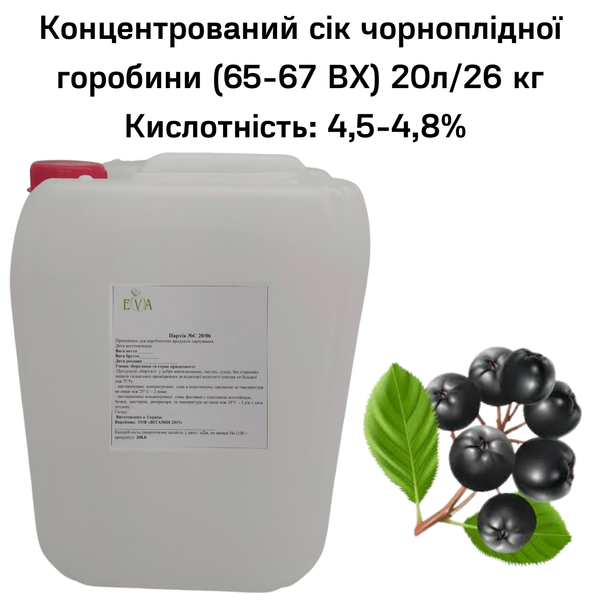 Концентрований сік чорноплодної горобини (65-67 ВХ) каністра 20л/26 кг 0100018 фото