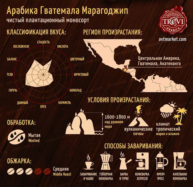 Кава мелена Trevi Арабіка Гватемала Марагоджип (мелена) 500 г 03-0298 фото